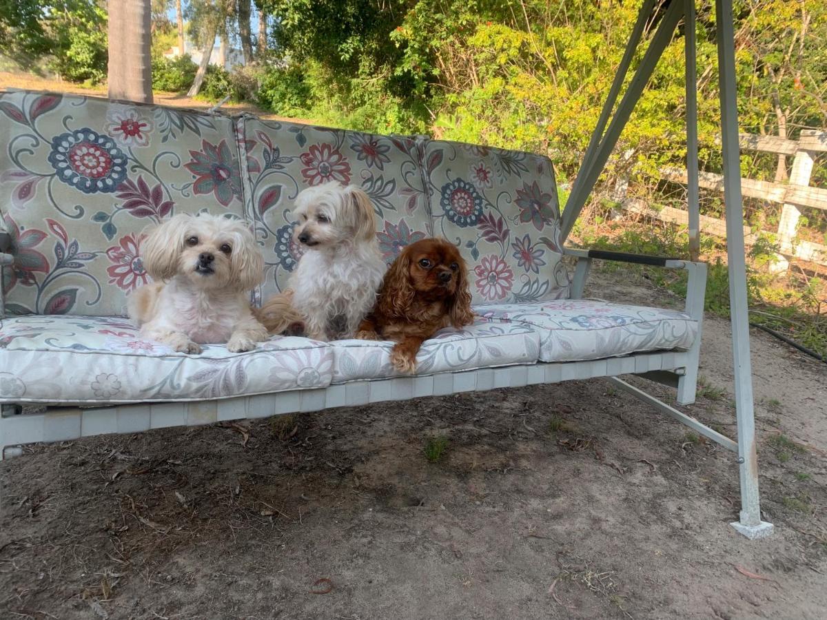 Homestay Rancho Garden Rancho Santa Fe